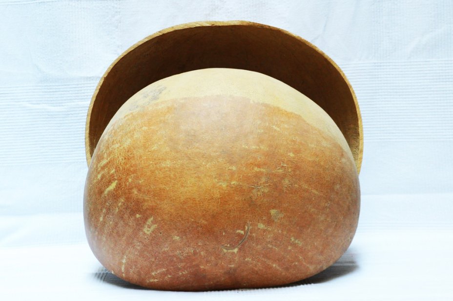 Ø50-54 cm round calabash - Hemispherical calabash