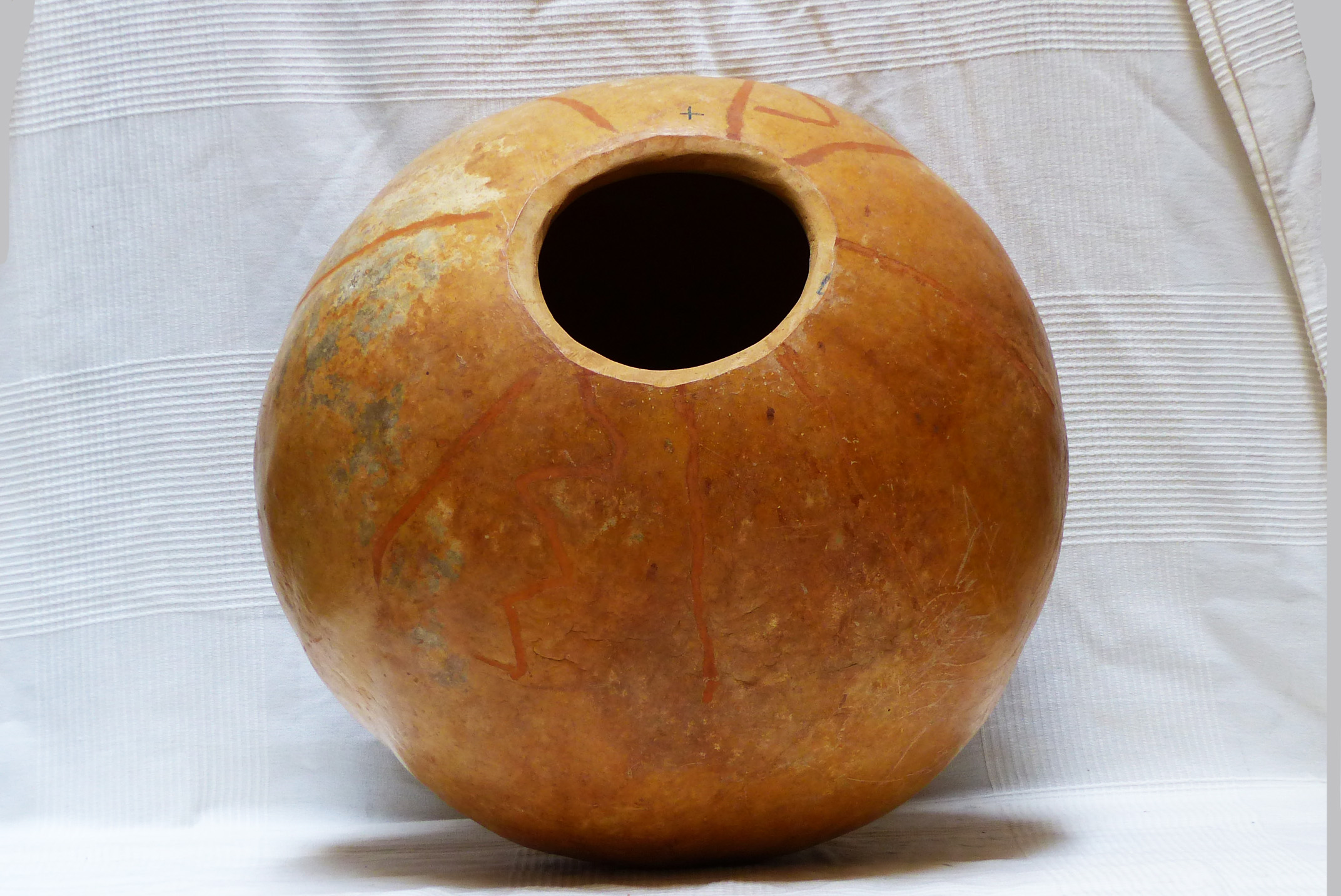 Calabash S 5354 Ø5354 cm whole calabash Spherical gourd