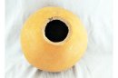 Ø35-36 cm whole calabash - Spherical gourd