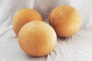 Ø45-46 cm whole calabash - Spherical gourd