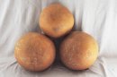 Ø47-48 cm whole calabash - Spherical gourd