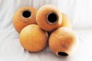 Ø31-32 cm whole calabash - Spherical gourd