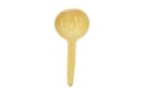 Calabash ladle - Spoon gourd Ø10-15 cm