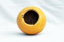 Ø19-20 cm whole calabash - Spherical gourd