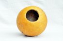 Ø23-24 cm whole calabash - Spherical gourd