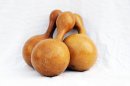 Ø17-18 cm bottle calabash - Bottle gourd