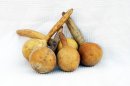 Ø7-8 cm bottle calabash - Bottle gourd