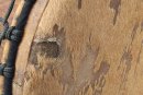 4 irons dundunba dunun - Guinea dunun drum