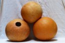 Ø17-18 cm whole calabash - Spherical gourd