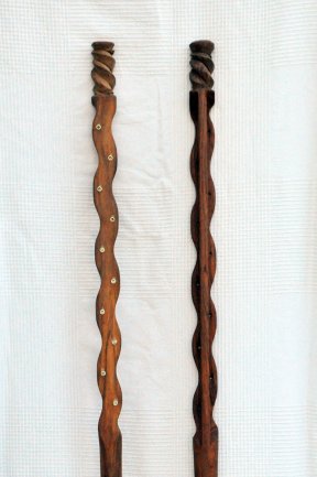 Kamale ngoni neck 10 strings
