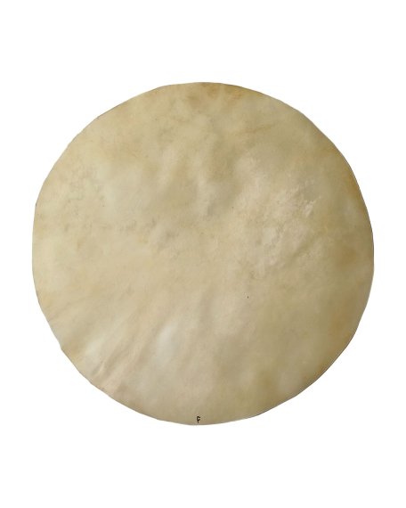Thick depilated horse skin for conga drum M