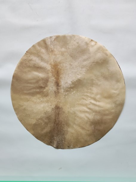 Shaved deer skin for djembe drum