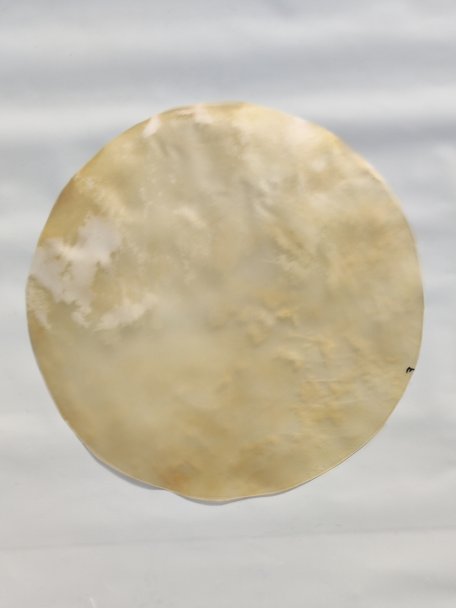 Large horse skin without hair for djembe drum