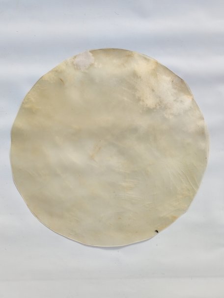 Large very thin horse skin without hair for djembe drum