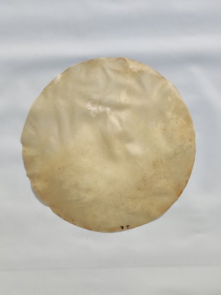 Thin horse skin without hair for djembe drum