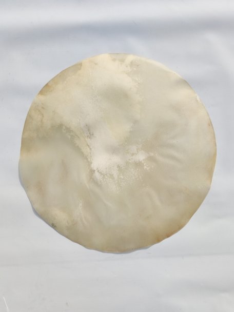 Very thin horse skin without hair for djembe drum