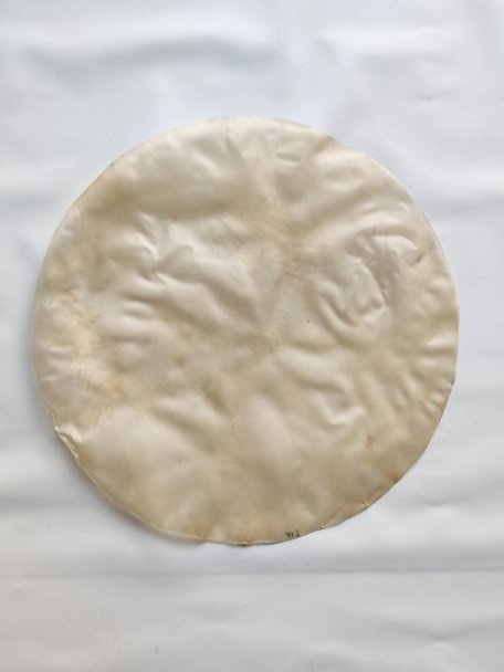 Large very thin calf skin without hair for djembe drum percussion
