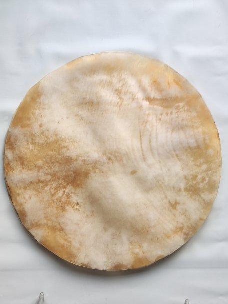 Very large thick steer skin, buffalo skin, bull skin or cow skin without hair for djembe drum percussion