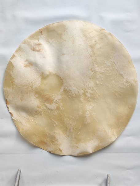 Very large very thin calf skin without hair for djembe drum percussion