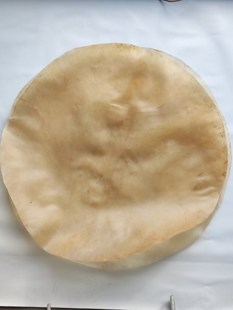 Very very large thick steer skin, buffalo skin, bull skin or cow skin without hair for djembe drum percussion