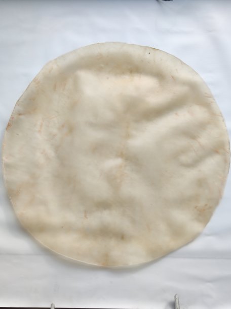 Very very large very thin calf skin without hair for djembe drum percussion