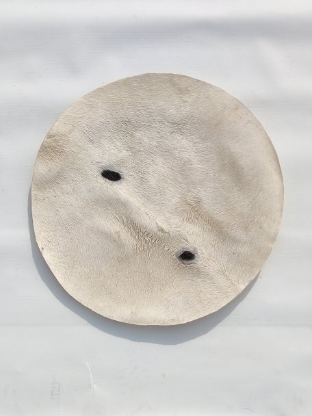 Thin donkey skin with hair for djembe drum M