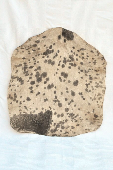 Thin spotted white Sahel goat skin - Djembe drum skin
