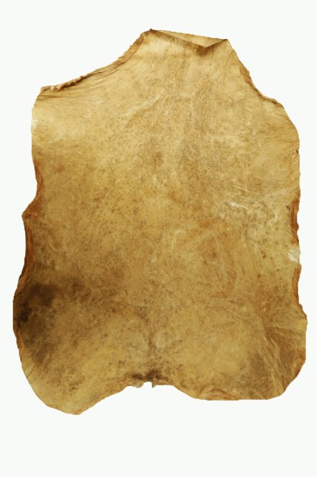 Very very thick shaved castrated Sahel billygoat skin - Djembe drum skin