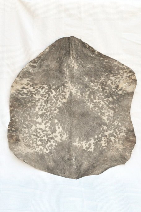 Spotted white Sahel goat skin - Djembe drum skin