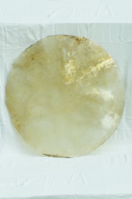 Very large thick steer skin, buffalo skin, bull skin or cow skin without hair for djembe drum percussion