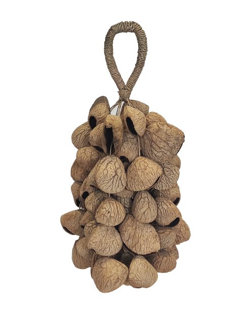 African seeds rattle Pengi S CRE19E