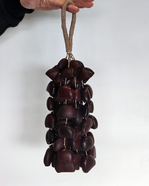 African rattle Entada ¾ CRE18C