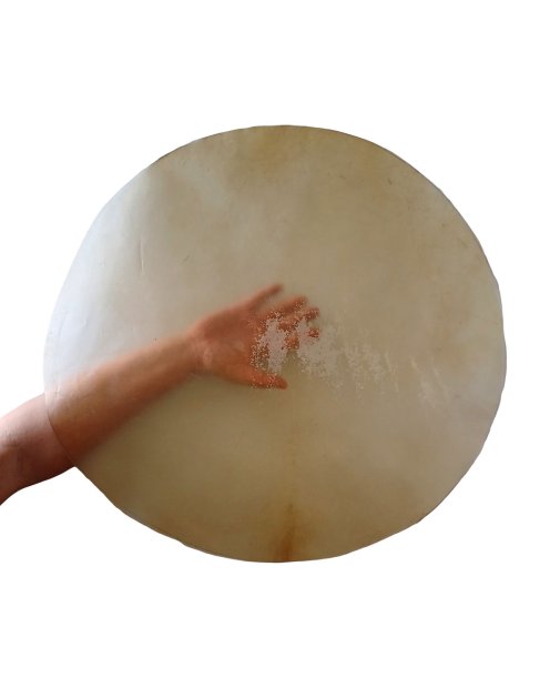 Very thin transparent goat skin for frame drums