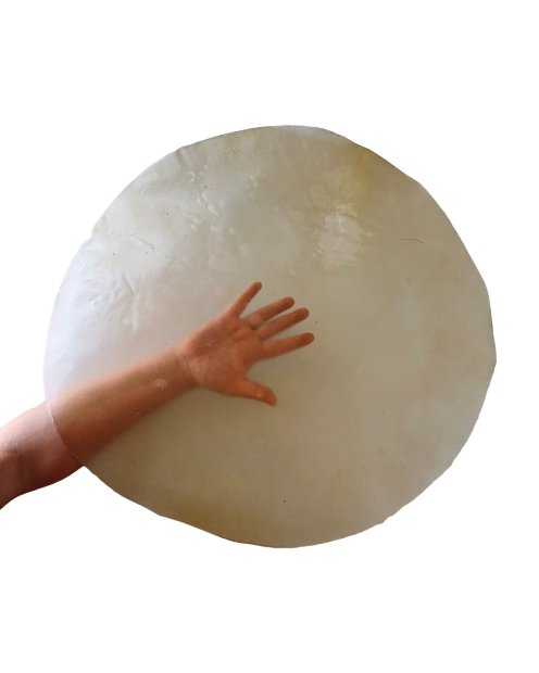 Very thin transparent calf skin for frame drums L