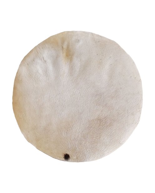 Thin horse skin with hair for djembe drum L