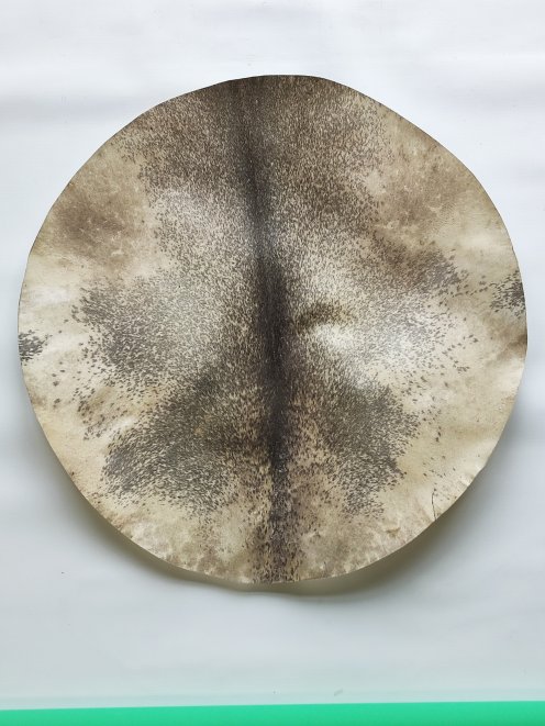 Very large thick shaved djembe drum percussion deer skin