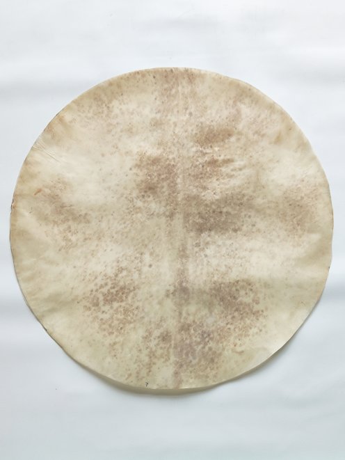 Very large thin shaved djembe drum percussion deer skin