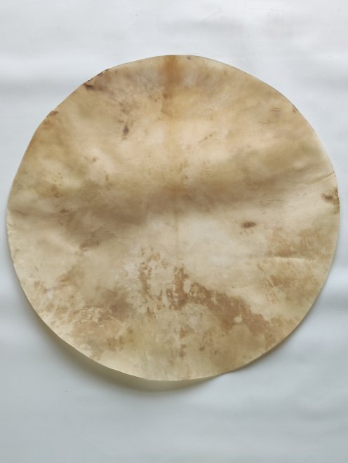 Very large shaved djembe drum percussion deer skin