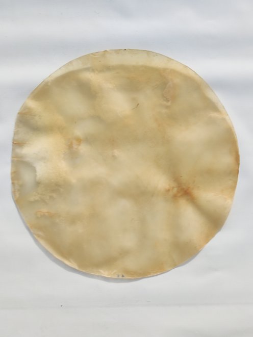 Large thick horse skin without hair for djembe drum