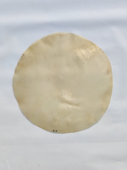 Horse skin without hair for djembe drum