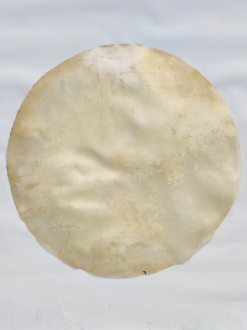 Very large thin horse skin without hair for djembe drum