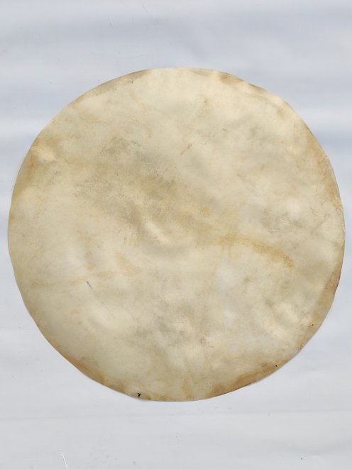 Very large horse skin without hair for djembe drum