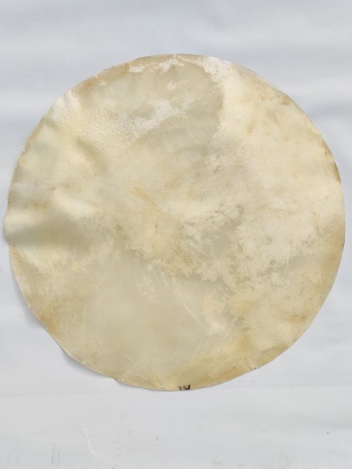 Very large very thin horse skin without hair for djembe drum