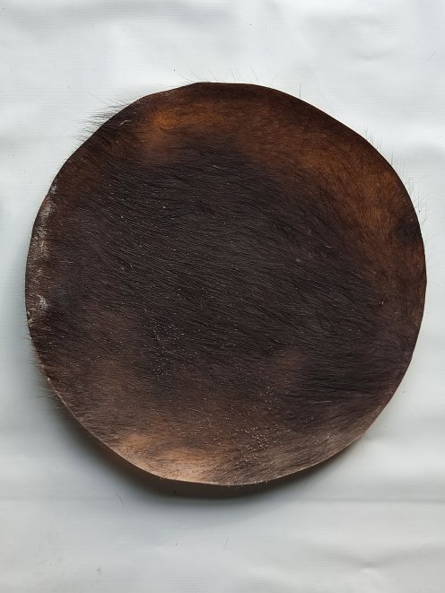 Large thick steer skin, buffalo skin, bull skin or cow skin for djembe drum percussion