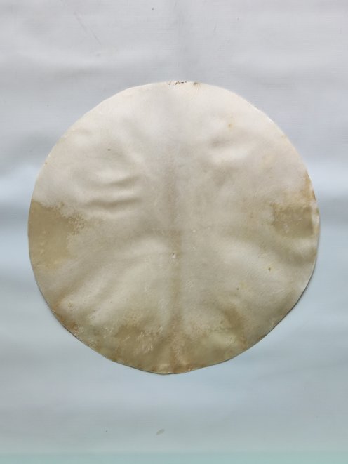 Shaved elk skin for djembe drum