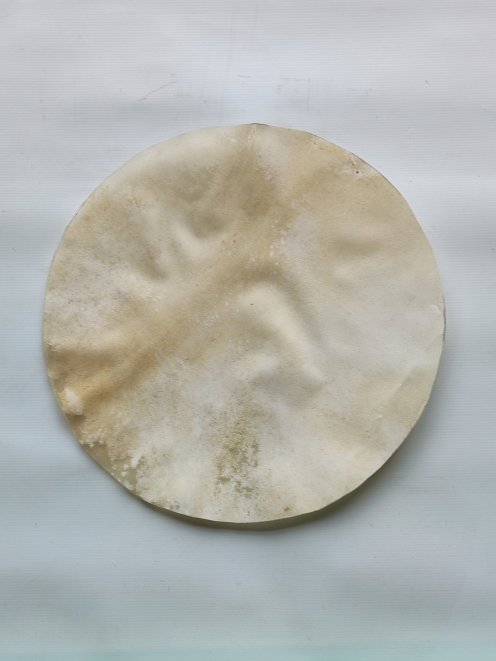 Small shaved elk skin for djembe drum