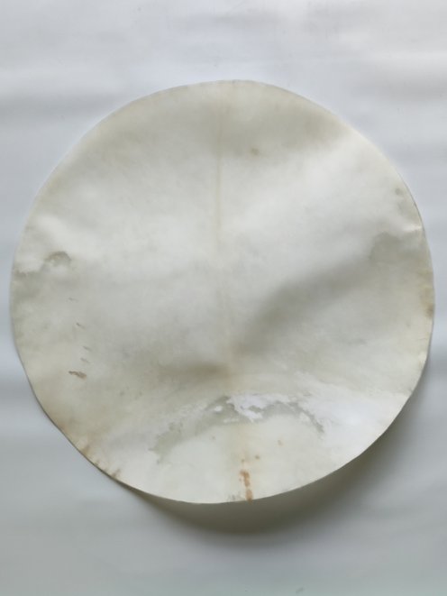 Very large shaved djembe drum percussion elk skin