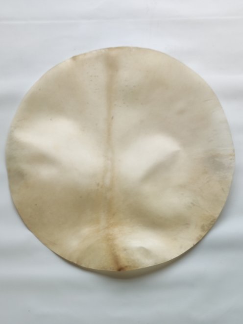 Very large very thick shaved djembe drum percussion elk skin 
