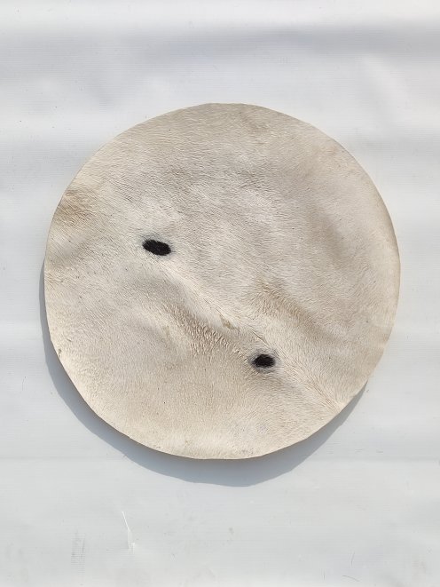 Thin donkey skin with hair for djembe drum M