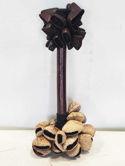 African double seeds rattle Pengi / Entada CRE26A